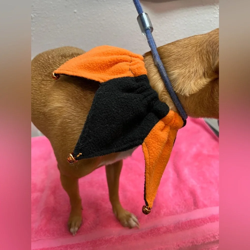Halloween Orange and Black Dog Costume